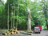 2012-06-09 006